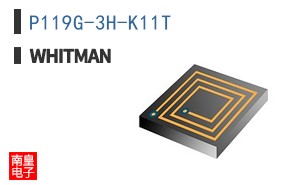 P119G-3H-K11T ͼƬ